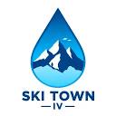 Skitowniv