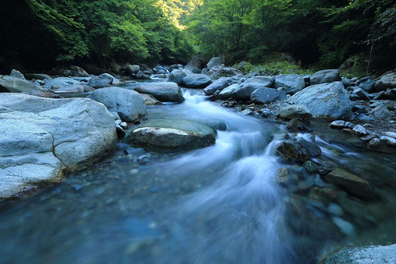 Streamline Your Customer Communications: The Importance of Setting Up a Proper Call Flow